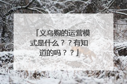义乌购的运营模式是什么??有知道的吗??