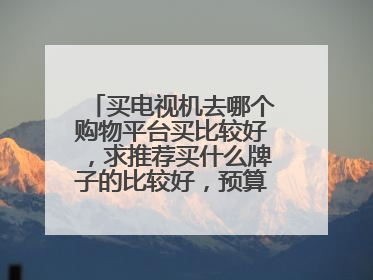 买电视机去哪个购物平台买比较好，求推荐买什么牌子的比较好，预算在一千以内