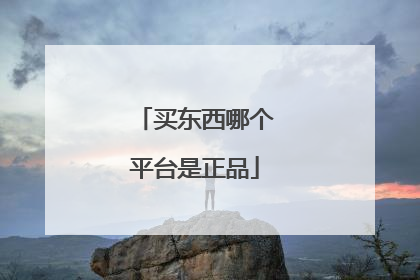 买东西哪个平台是正品