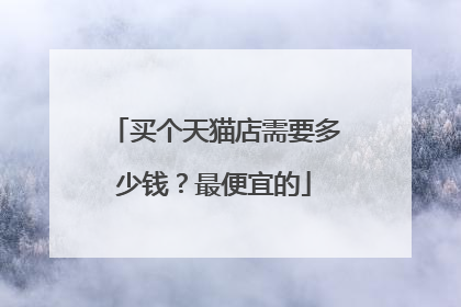 买个天猫店需要多少钱？最便宜的