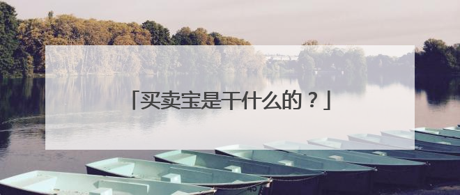 买卖宝是干什么的？