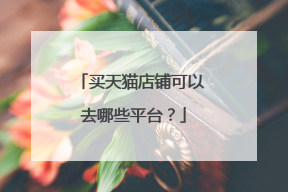 买天猫店铺可以去哪些平台？