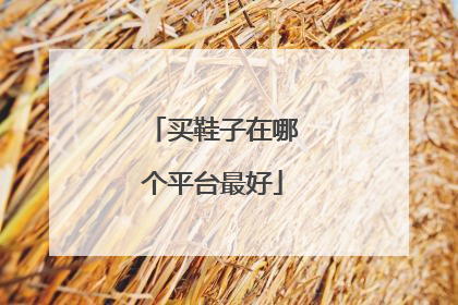买鞋子在哪个平台最好