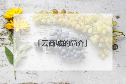 云商城的简介