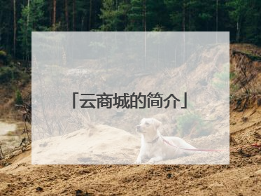 云商城的简介