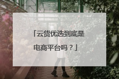 云货优选到底是电商平台吗？