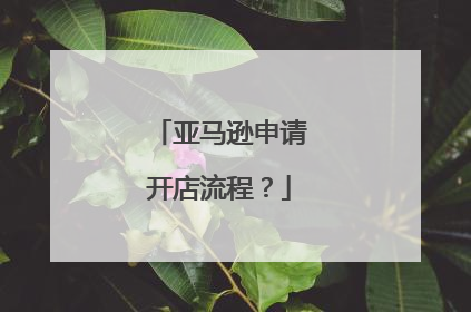 亚马逊申请开店流程?