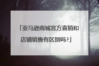 亚马逊商城官方直销和店铺销售有区别吗?