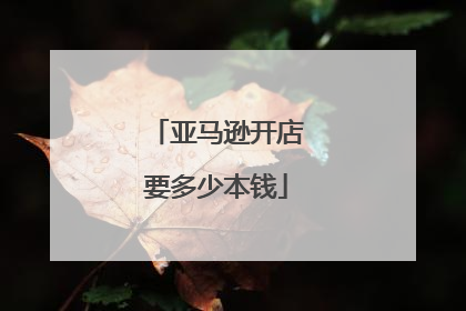亚马逊开店要多少本钱