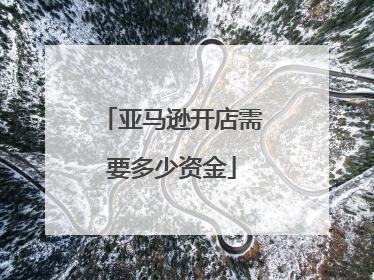 亚马逊开店需要多少资金