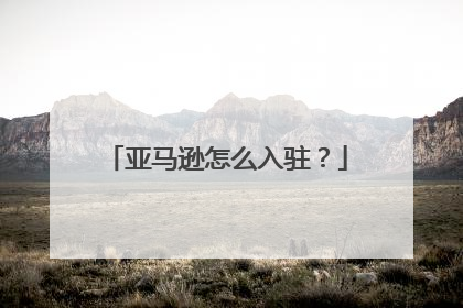 亚马逊怎么入驻?