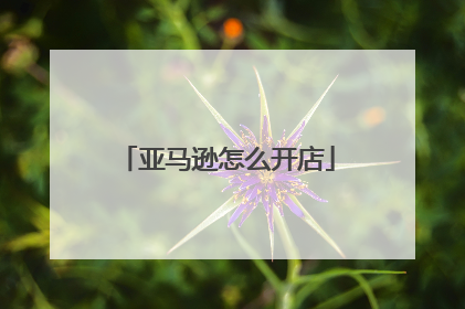 亚马逊怎么开店