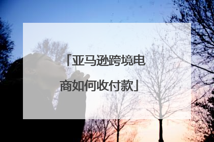 亚马逊跨境电商如何收付款