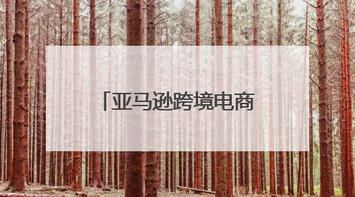 亚马逊跨境电商开店流程及费用