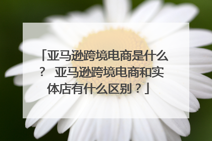 亚马逊跨境电商是什么? 亚马逊跨境电商和实体店有什么区别?