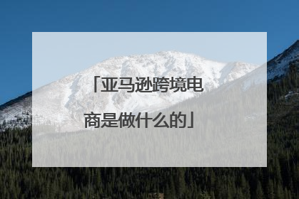 亚马逊跨境电商是做什么的