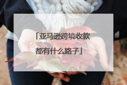 亚马逊跨境收款都有什么路子