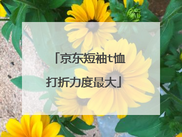 京东短袖t恤打折力度最大
