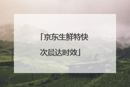 京东生鲜特快次晨达时效