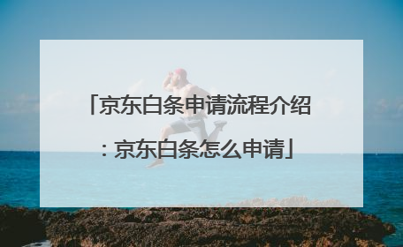 京东白条申请流程介绍：京东白条怎么申请