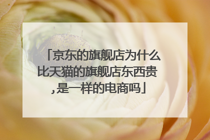 京东的旗舰店为什么比天猫的旗舰店东西贵,是一样的电商吗