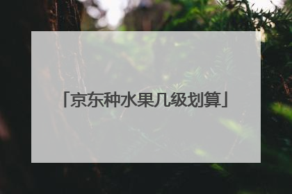 京东种水果几级划算
