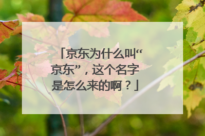 京东为什么叫“京东”,这个名字是怎么来的啊?