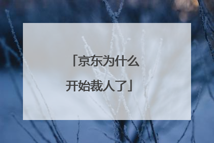 京东为什么开始裁人了