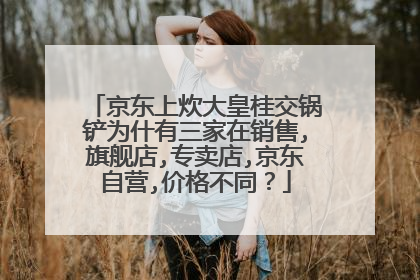 京东上炊大皇桂交锅铲为什有三家在销售,旗舰店,专卖店,京东自营,价格不同?
