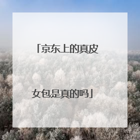 京东上的真皮女包是真的吗