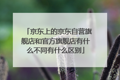 京东上的京东自营旗舰店和官方旗舰店有什么不同有什么区别