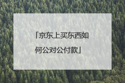 京东上买东西如何公对公付款