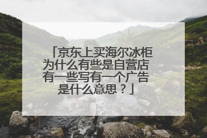 京东上买海尔冰柜为什么有些是自营店有一些写有一个广告是什么意思？