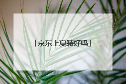京东上夏装好吗