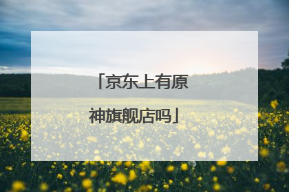 京东上有原神旗舰店吗