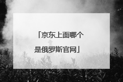 京东上面哪个是俄罗斯官网