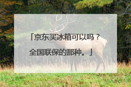京东买冰箱可以吗?全国联保的那种。