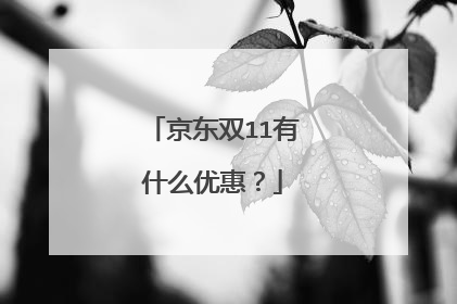京东双11有什么优惠?