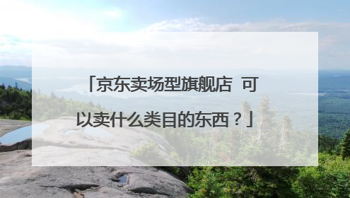 京东卖场型旗舰店 可以卖什么类目的东西？