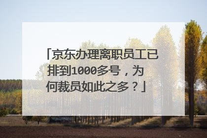 京东办理离职员工已排到1000多号,为何裁员如此之多?