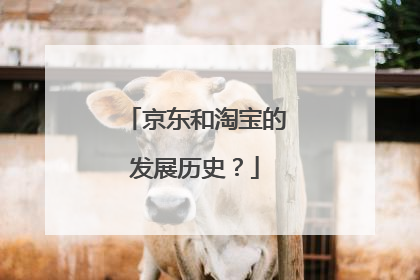 京东和淘宝的发展历史？