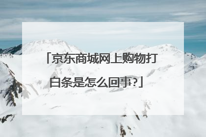 京东商城网上购物打白条是怎么回事?