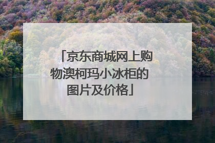 京东商城网上购物澳柯玛小冰柜的图片及价格
