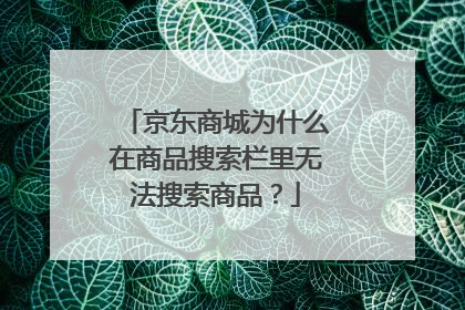 京东商城为什么在商品搜索栏里无法搜索商品?