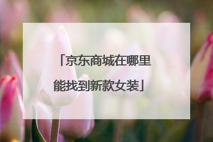 京东商城在哪里能找到新款女装