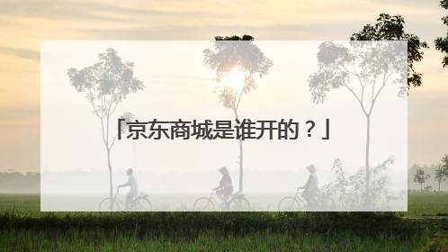 京东商城是谁开的?