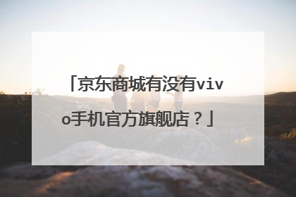 京东商城有没有vivo手机官方旗舰店?