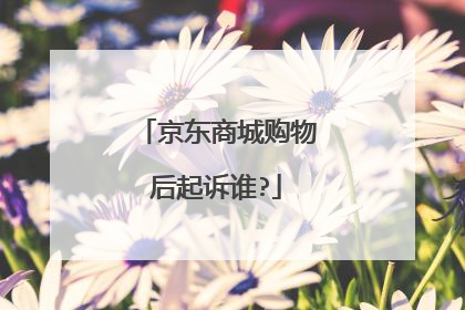 京东商城购物后起诉谁?