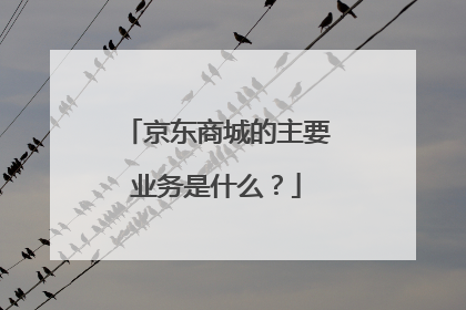 京东商城的主要业务是什么?