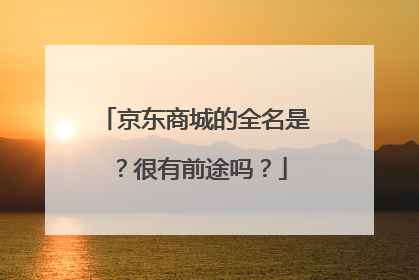 京东商城的全名是?很有前途吗?